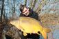 Preview: Fifty Fish Wafters 100 g.
